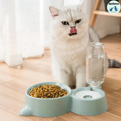 DISTRIBUTEUR D'EAU POUR CHAT