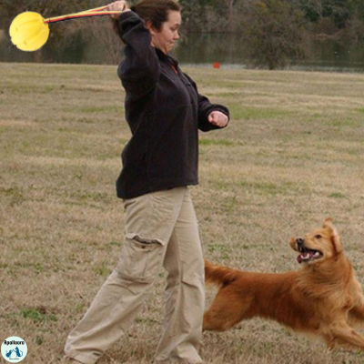 Balle interactive pour chien