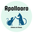 Apollooro