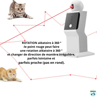 ROBOT LASER INTERACTIVE POUR CHAT