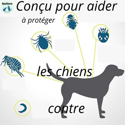 COLLIER ANTI-PUCES ET ANTI-TIQUES CHIEN|FLEA™