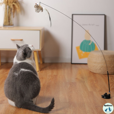 JOUE INTERACTIVE POUR CHAT