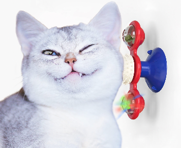 JOUET POUR CHAT INTERACTIF| CATTOY™