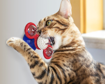 JOUET POUR CHAT INTERACTIF| CATTOY™