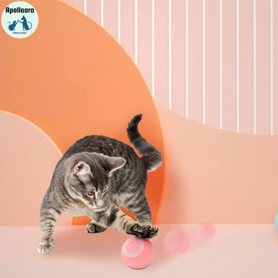 BALL INTELLIGENTE POUR CHAT| PLAYCAT™