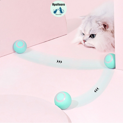 BALL INTELLIGENTE POUR CHAT