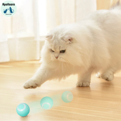 BALL INTELLIGENTE POUR CHAT| PLAYCAT™